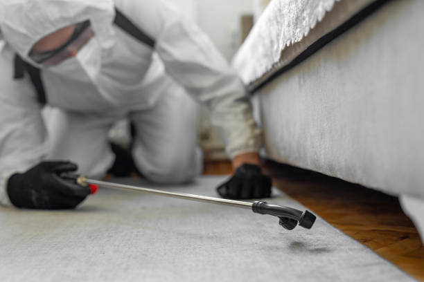 Professional Cockroach Control technician working in Wabasso, FL